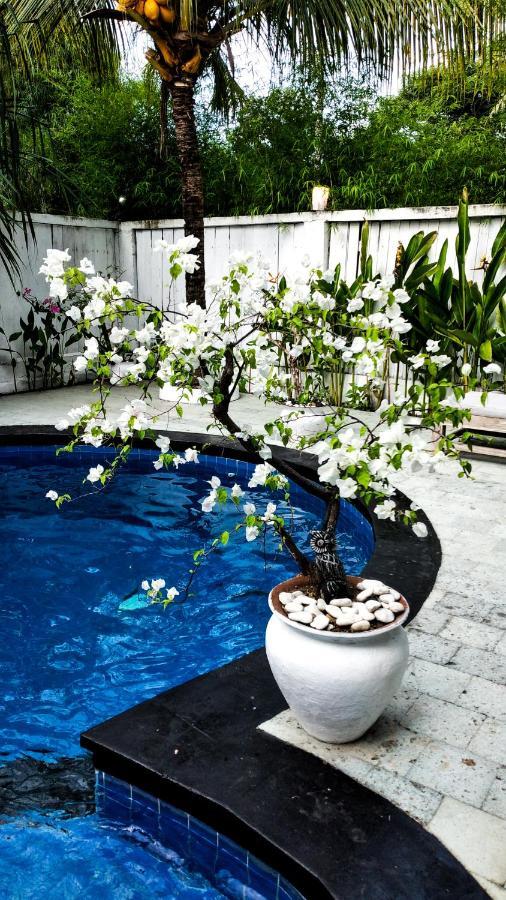 Vila Gili Moonlight Retreat Gili Air Exteriér fotografie